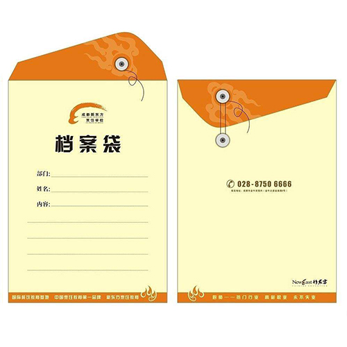 檔案袋設(shè)計(jì)制作